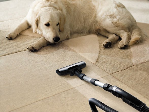 Professional Carpet Cleaning