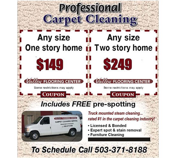 Carpet Cleaning Services